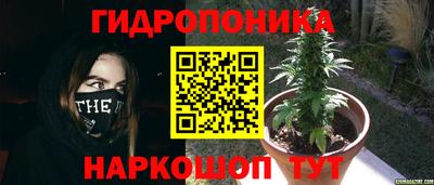 герыч Моздок