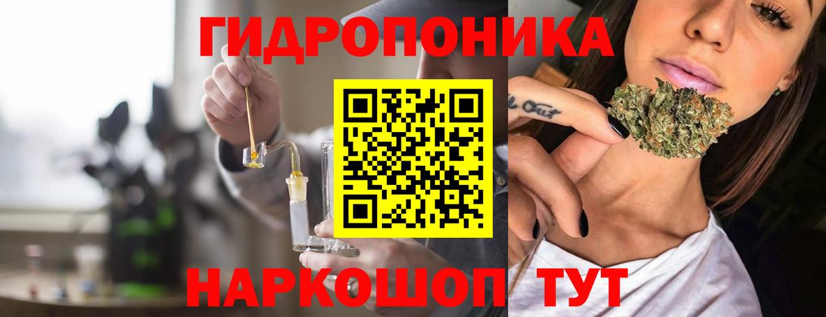Бошки Шишки планчик  Вход с VPN  Каннабис сатива  Учалы  Марихуана сатива  Каннабис марихуана 